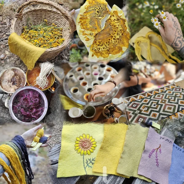 סדנת צבע מהטבע